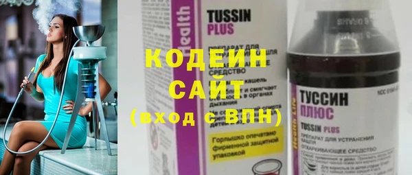 молекула духа Арсеньев