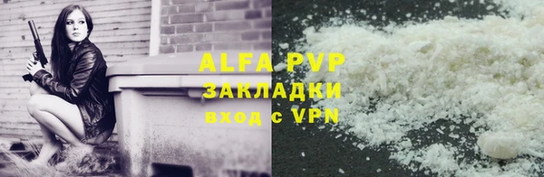 молекула духа Арсеньев