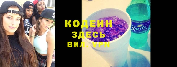 молекула духа Арсеньев