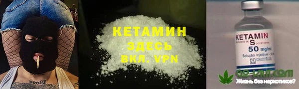 молекула духа Арсеньев