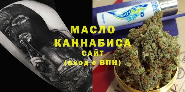 молекула духа Арсеньев