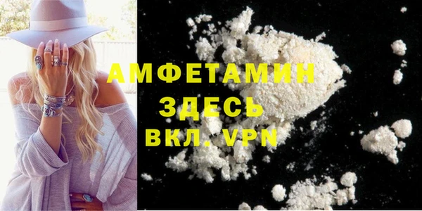 молекула духа Арсеньев