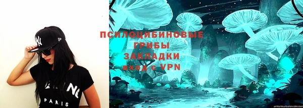 молекула духа Арсеньев