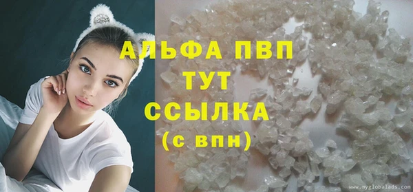 молекула духа Арсеньев