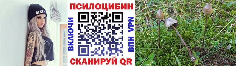 MEGA ссылка  Фурманов  Псилоцибиновые грибы мицелий  сколько стоит 